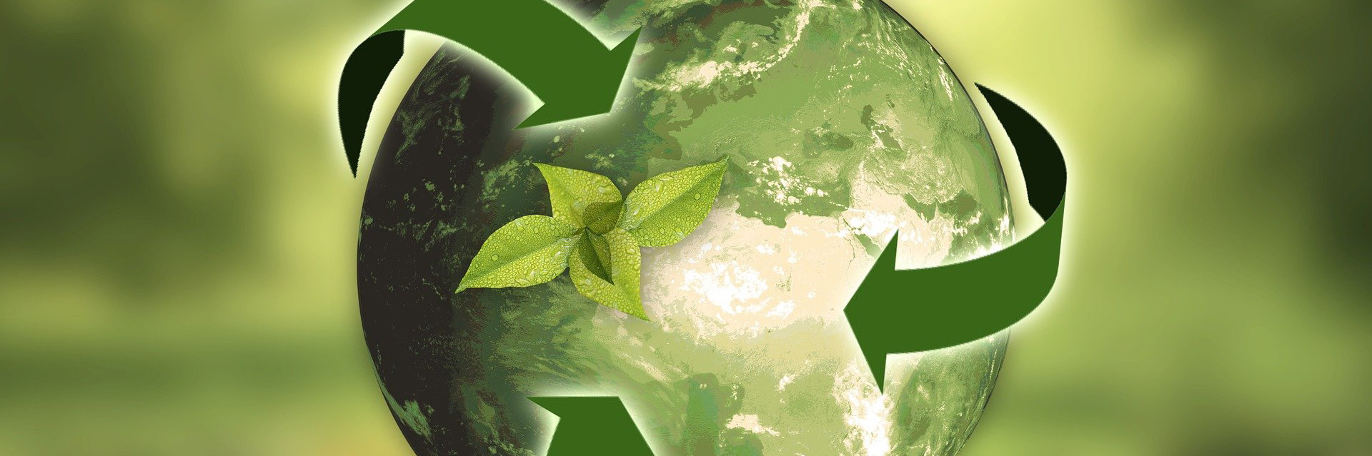 Recycling in Pinar de Campoverde