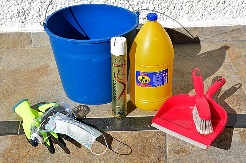 Processionary Caterpillar Emergency Kit