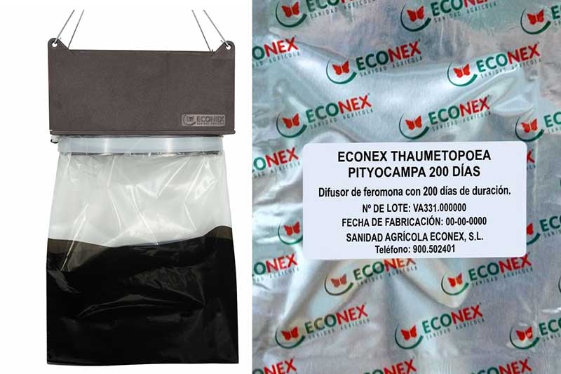 Processionary Caterpillar Pheromone Trap